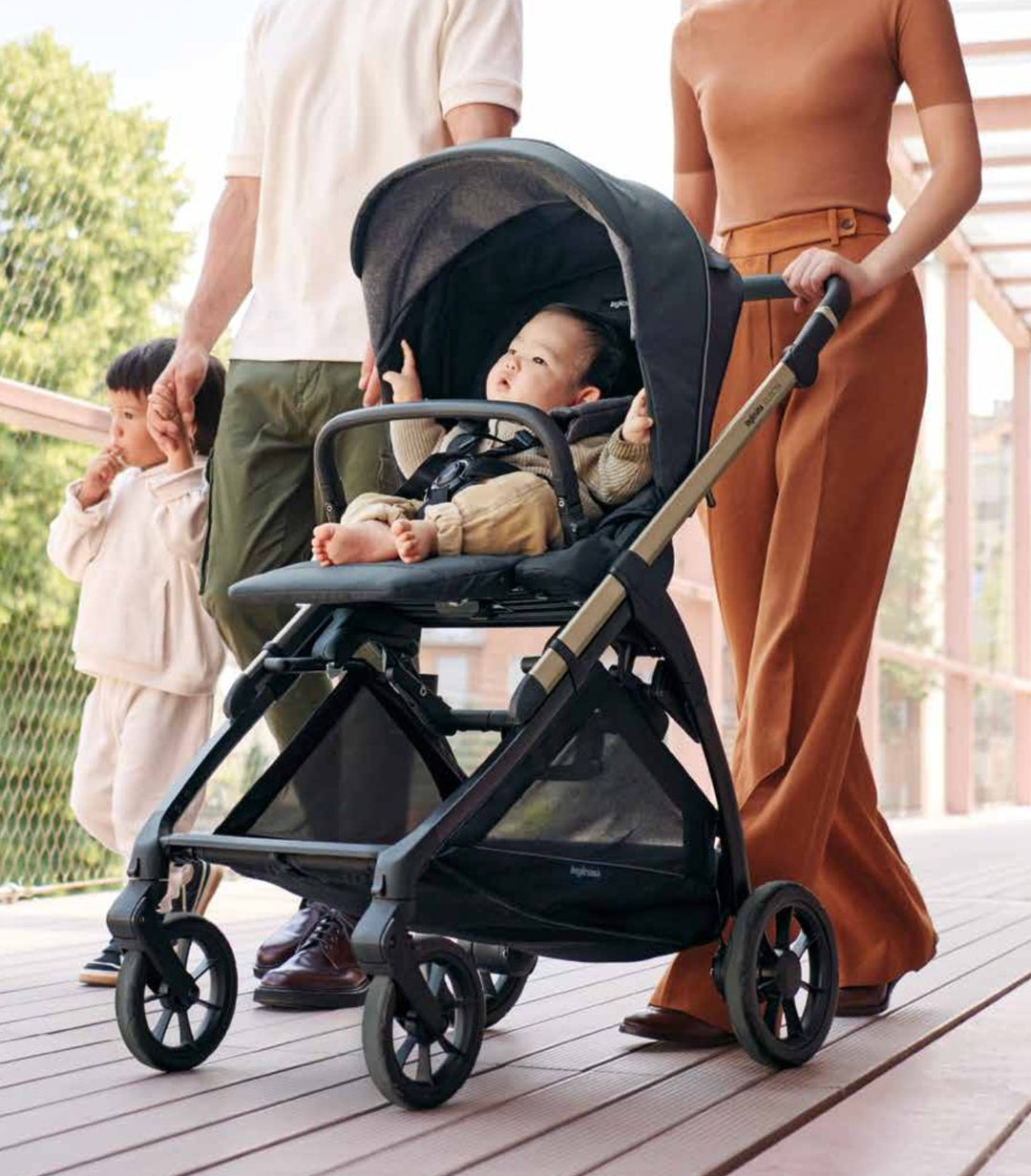 Inglesina Electa Quattro Travel System - Tribeca Green - Pramsy